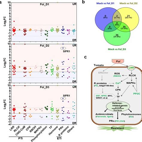 Expression Patterns Of The Significant DEGs Involved In Plant Immune