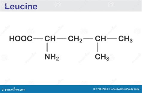 Leucine Skeletal Formula Stock Illustration Illustration Of Compound