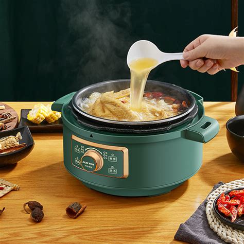 Multifunction Electric Cooking Pot Rice Cooker Steamer Mini Hot Pot Pressure Boil Stew Non Stick