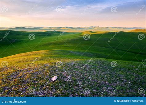 The Scenery of Top of Mountain on the Hulunbuir Grassland Sunrise Stock ...