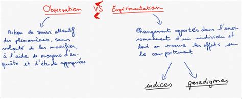 P D Cm S Les Methodes En Psychologie Du Developpement Cartes