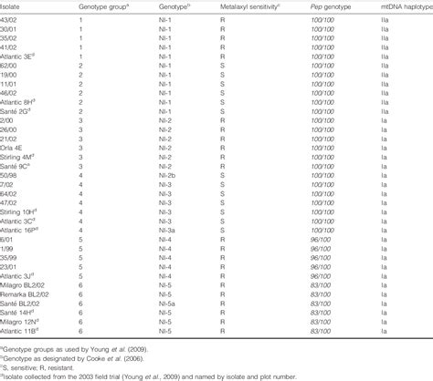 Table From The Role Of Aggressiveness And Competition In The