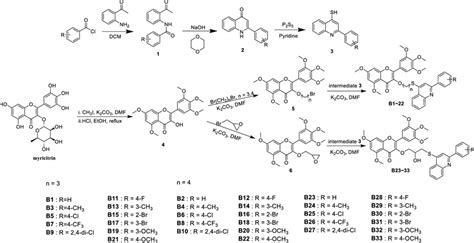 Synthetic Route To Target Compounds B1b33 Download Scientific Diagram