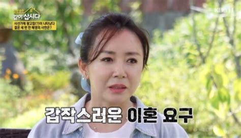 귀순 배우 김혜영 세 번의 이혼 내가 원한 것 아냐 네이트 연예