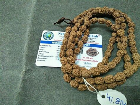 Natural 3 Mukhi Rudraksh Mala Spiritual Use Pooja Size Around 7