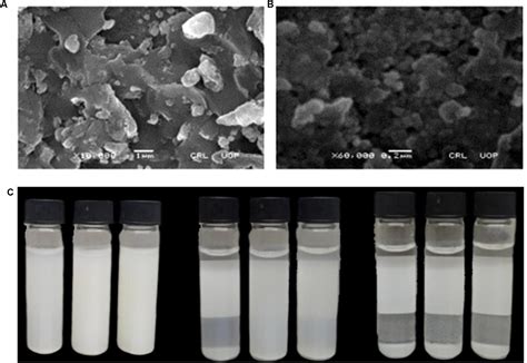 Frontiers Biogenic Synthesis And Characterization Of Antimicrobial