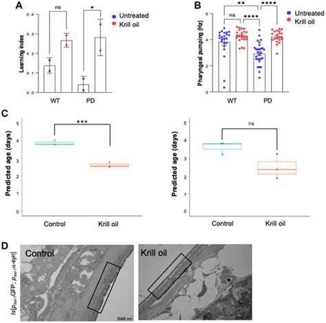 Krill Oil Protects Dopaminergic Neurons From Age Related Degeneration