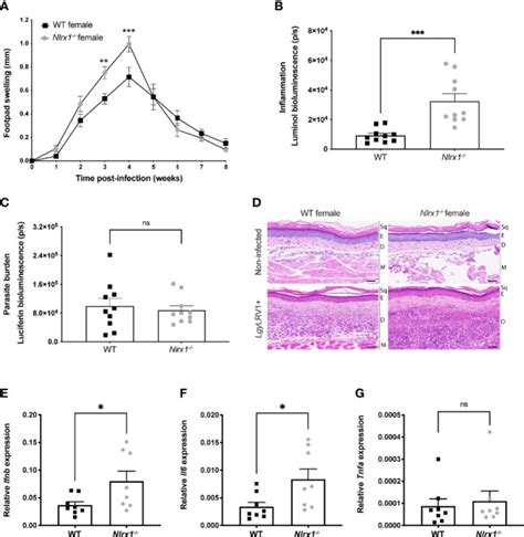 Sex Biased Control Of Inflammation And Metabolism By A Mitochondrial Nod Like Receptor