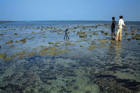 GNY Narara Marine National Park