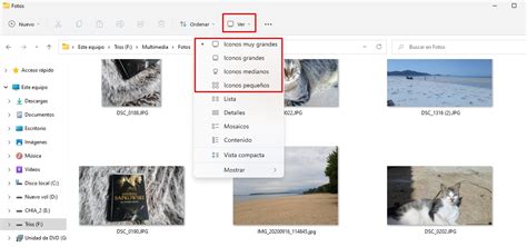 Habilitar Y Deshabilitar Vista Previa Con Miniaturas En Windows 11