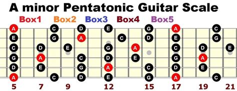 A Minor Pentatonic Guitar Scale Exercises Set 5 - Etsy