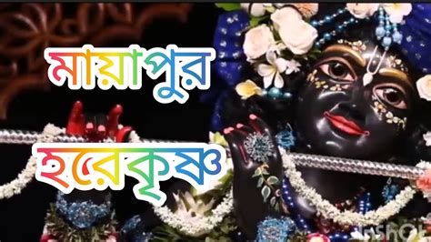 মযপর ইসকনর হরনম সকরতন hare Krishna hare Krishna mayapuri