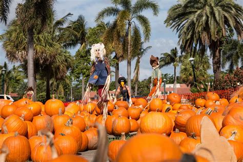 Things To Do In Miami Halloween 2024 Fionna Virginie