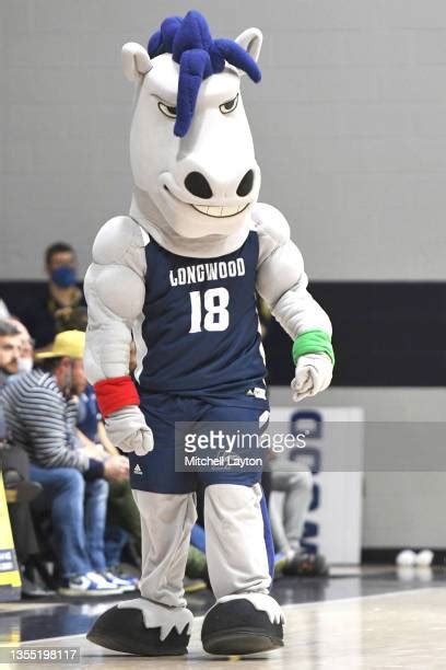 Umbc Mascot Photos and Premium High Res Pictures - Getty Images