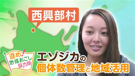nhk
