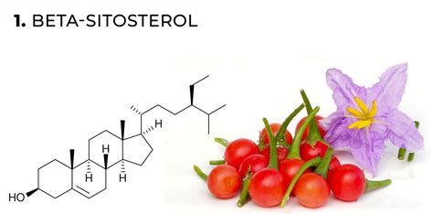 Los Flavonoides De La Marihuana Qu Son Y C Mo Funcionan Sensi Seeds