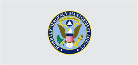 Which Of The Following Are Part Of The Dhsfema Federal Operations