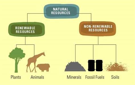 Importance Of Managing Natural Resources Class 10 Notes Edurev