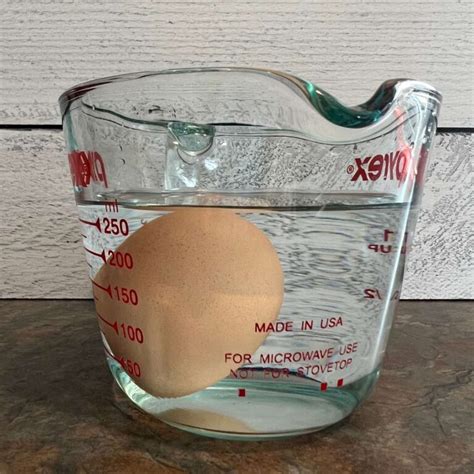 How to Tell If an Egg Is Bad: Expert Tips for Spotting Spoiled Eggs