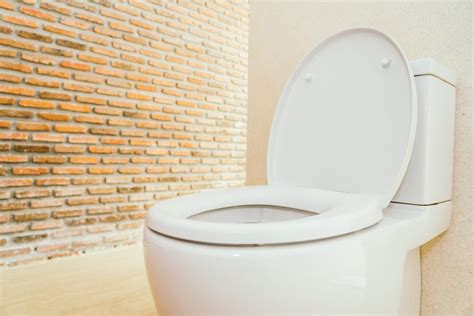 Toilet Flushes but Poop Stays: 10 Common Causes and Fixes - Taps and ...