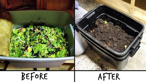 Diy Worm Farm How To Make A Worm Compost Bin