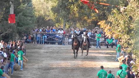 Pariglie Abbasanta Esibizione Pariglia Di Palmas Arborea Ponte