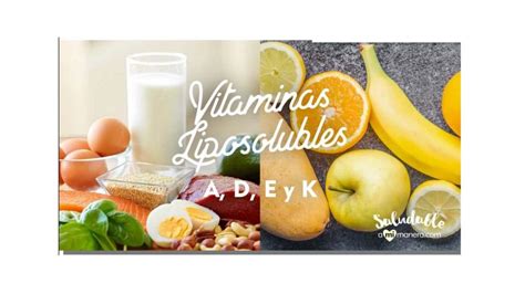 Vitaminas Liposolubles Paola M Udocz