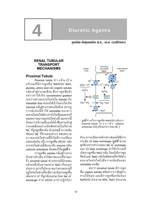 Pdf Renal Tubular Transport Mechanisms Proximal Pdf File