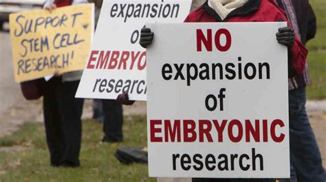 The Embryonic Stem Cell Research Controversy