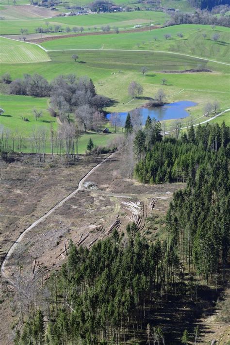 Schopfheim aus der Vogelperspektive Waldschäden und Forstarbeiten beim