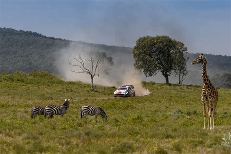 News Gallery The Best Of Safari Rally Kenya Speedcafe