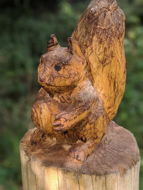 Écureuil Dans La Maison En Bois D oiseaux Photo stock Image du arbre