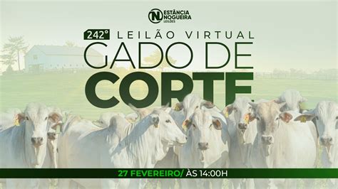 Leil O Virtual Gado De Corte Enl Youtube