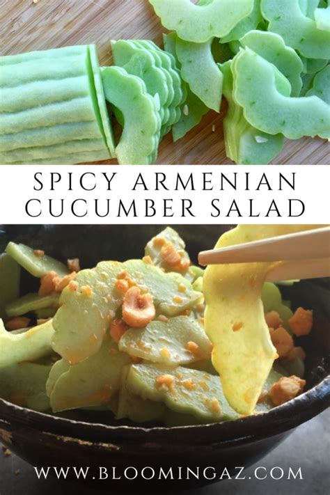 Spicy Armenian Cucumber Salad – Blooming Ranch