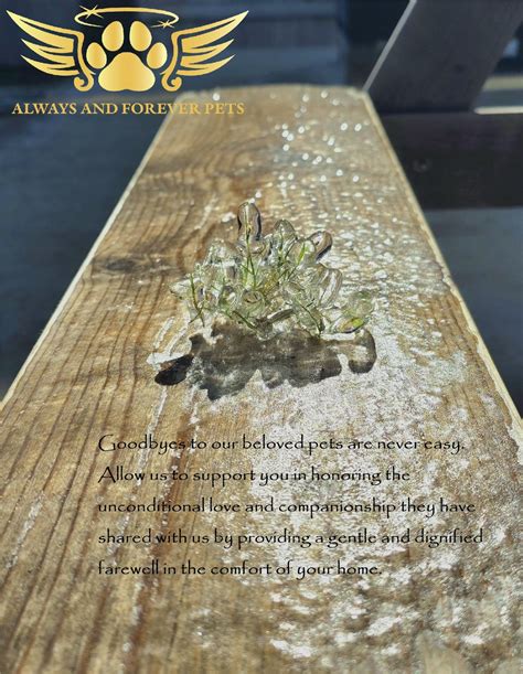 Always and Forever Pets | New Braunfels TX