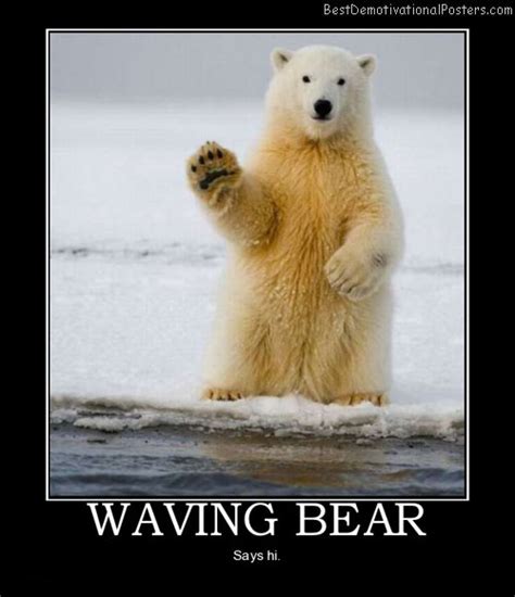 Waving Bear - Motivational Poster