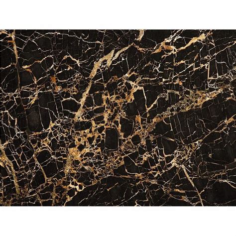 Radhaservesar Marbles Polished Finish Golden Portoro Marble Slab