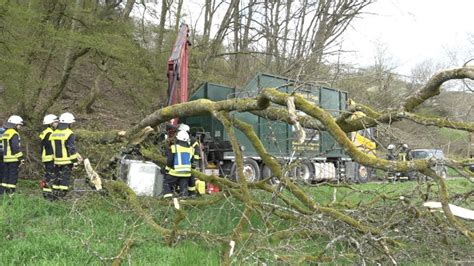 Baum fällt auf Forstmaschine Waldarbeiter schwer verletzt 56Aktuell