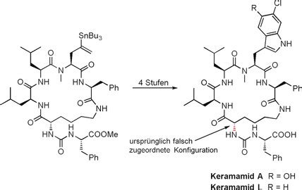 Totalsynthese Der Keramamide A Und L Aus Einer Gemeinsamen Vorstufe