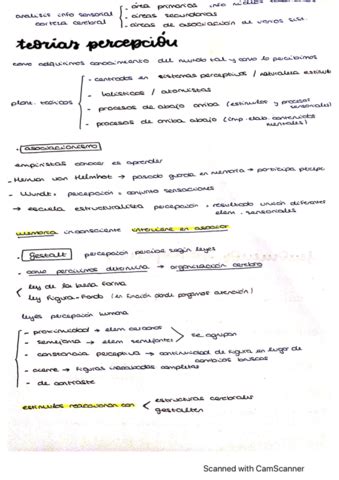 Esquemas T4 Procesos Cognitivos Basico Pdf