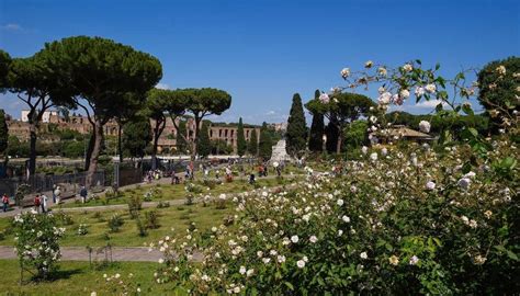 Sbocciano le rose nel giardino più romantico e antico dItalia