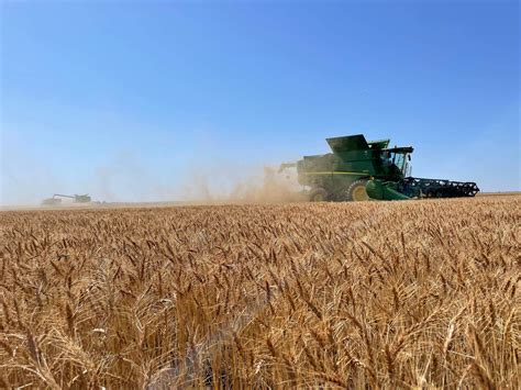 Oklahoma Farm Report 2022 Oklahoma Wheat Harvest Passes Halfway Mark