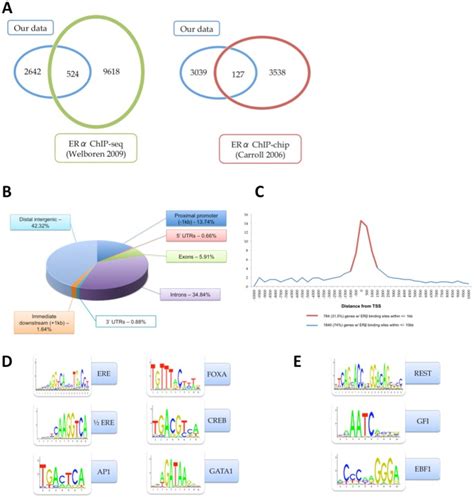 Erβ Binding Sites Identified In C412flagerβ Cells Blue Were