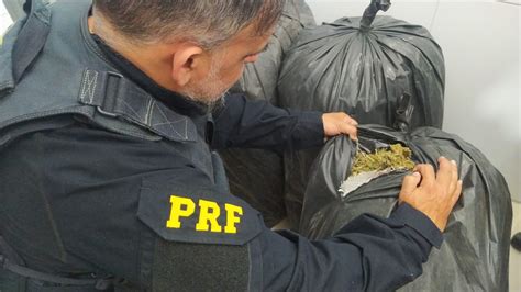 PRF apreende mais de 150 quilos de maconha em Sertânia droga seria