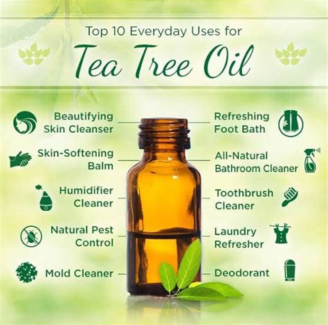 Jual Baru Tea Tree Essential Oil Minyak Pohon Teh Ml Murni