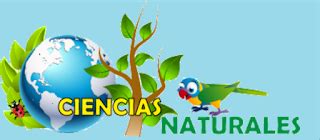 Ciencias naturales: Ciencias Naturales