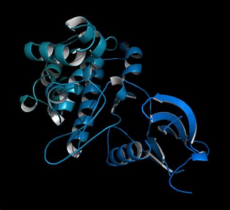 Crystal Structure Of Pkg I Suggests A New Activation Mechanism Artofit