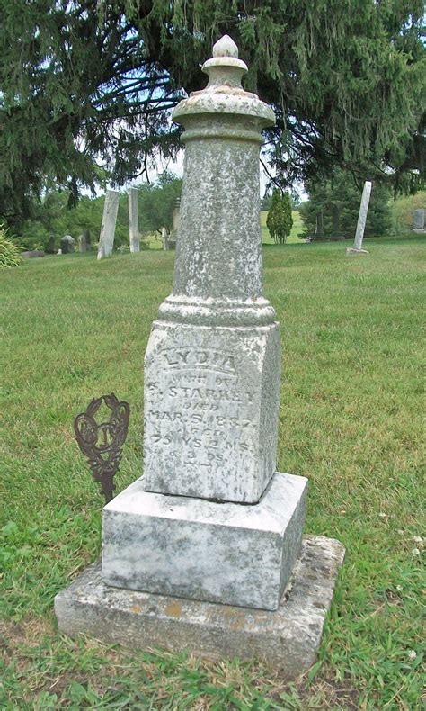 Lydia Clouse Starkey Find A Grave Memorial