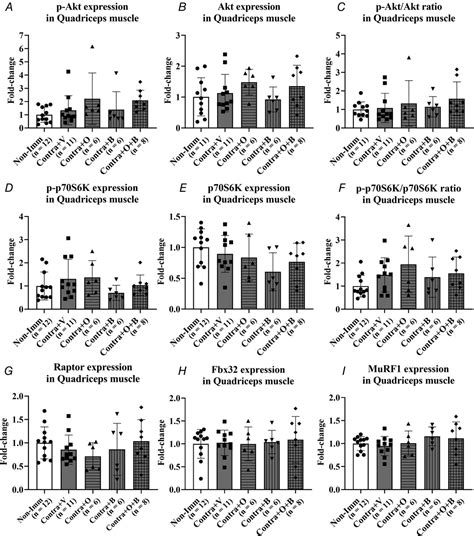 Undercarboxylated Osteocalcin And Ibandronate Combination Ameliorates