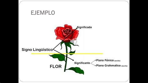 Ejemplos Ejemplos De Signos Linguisticos Con Su Significado Y My XXX Hot Girl